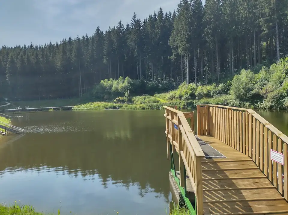 Sprungturm aus Holz mit Treppe und Sprungbrett am Waldbadteich